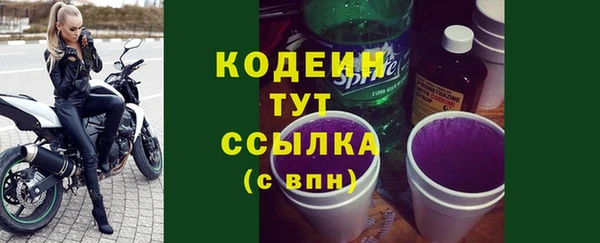 гидра Надым