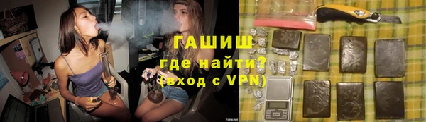 гидра Надым