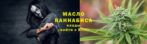 гидра Надым