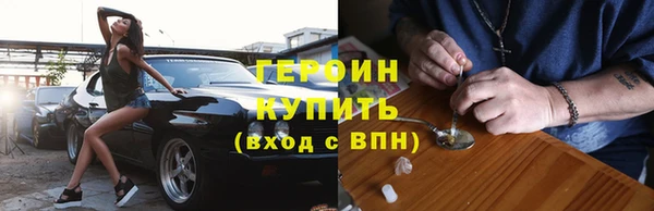 гидра Надым