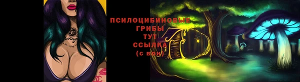 гидра Надым