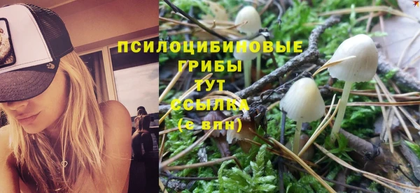 гидра Надым