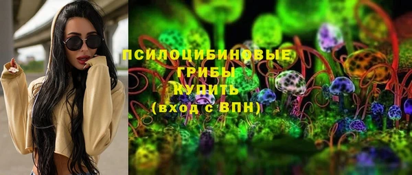 гашик Наволоки