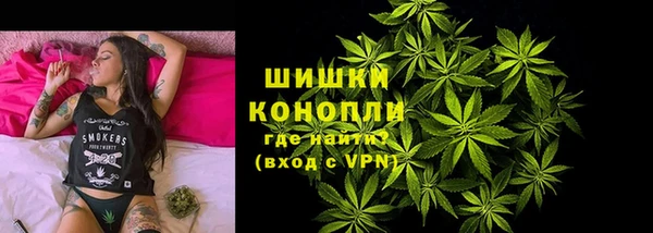 гидра Надым