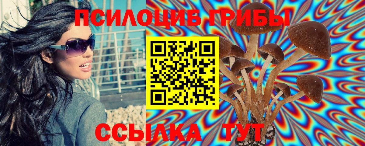Псилоцибиновые грибы Magic Shrooms Шуя